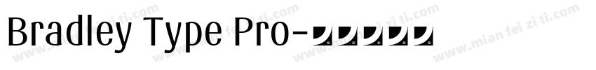 Bradley Type Pro字体转换